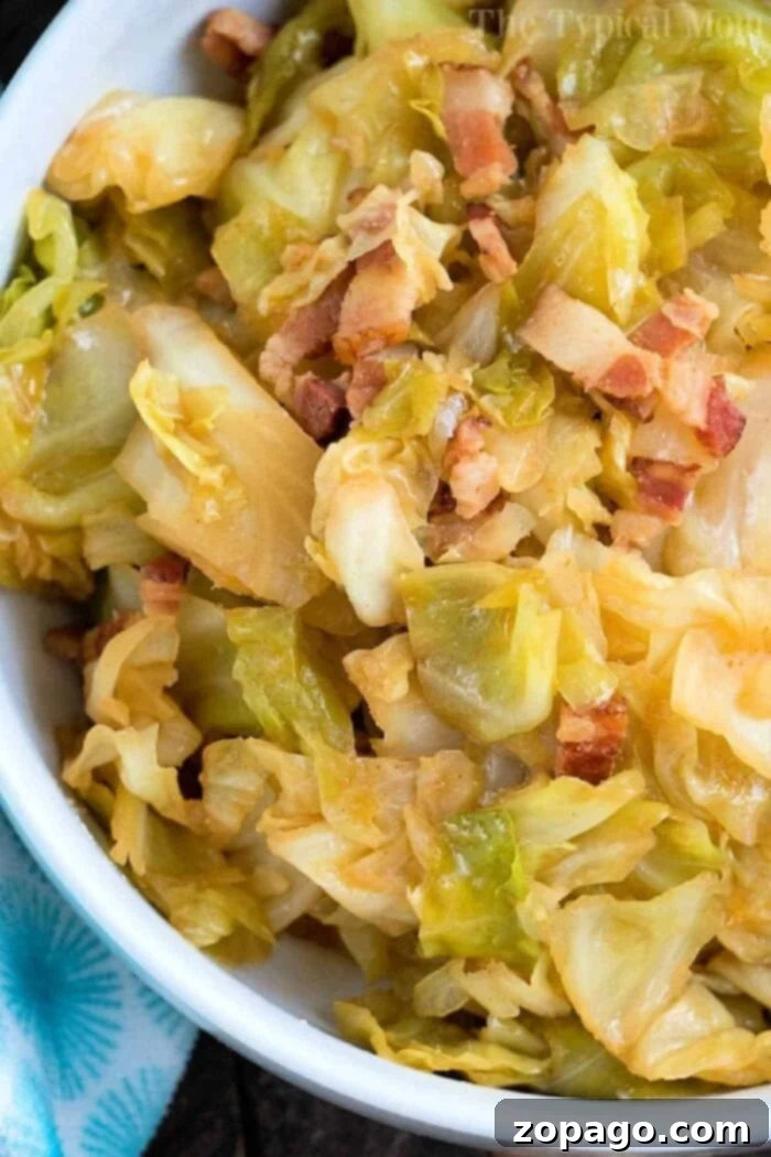 Easy Instant Pot Cabbage Meals 2 Instant Pot Cabbage Recipes: A collection of easy and delicious dishes prepared in a pressure cooker or Ninja Foodi.