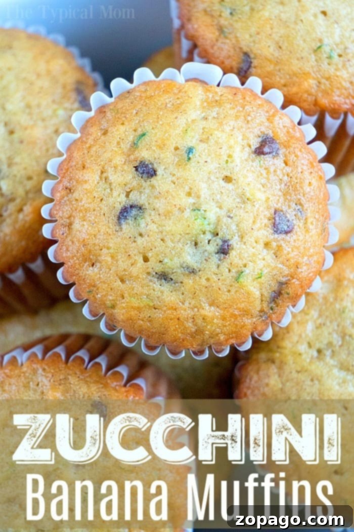Zucchini Banana Chocolate Chip Muffins: A Sweet Indulgence A plate of freshly baked zucchini banana chocolate chip muffins, with a rich, dark chocolate interior visible, perfect for a sweet treat.