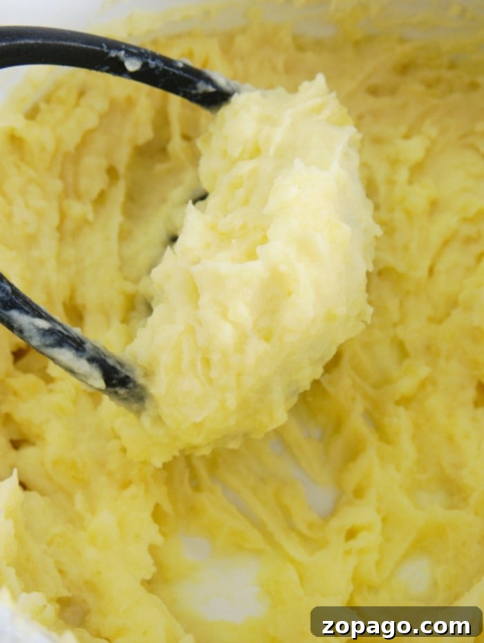 Hearty Mashed Potato and Green Bean Casserole 2 Best Mashed Potatoes for Casserole