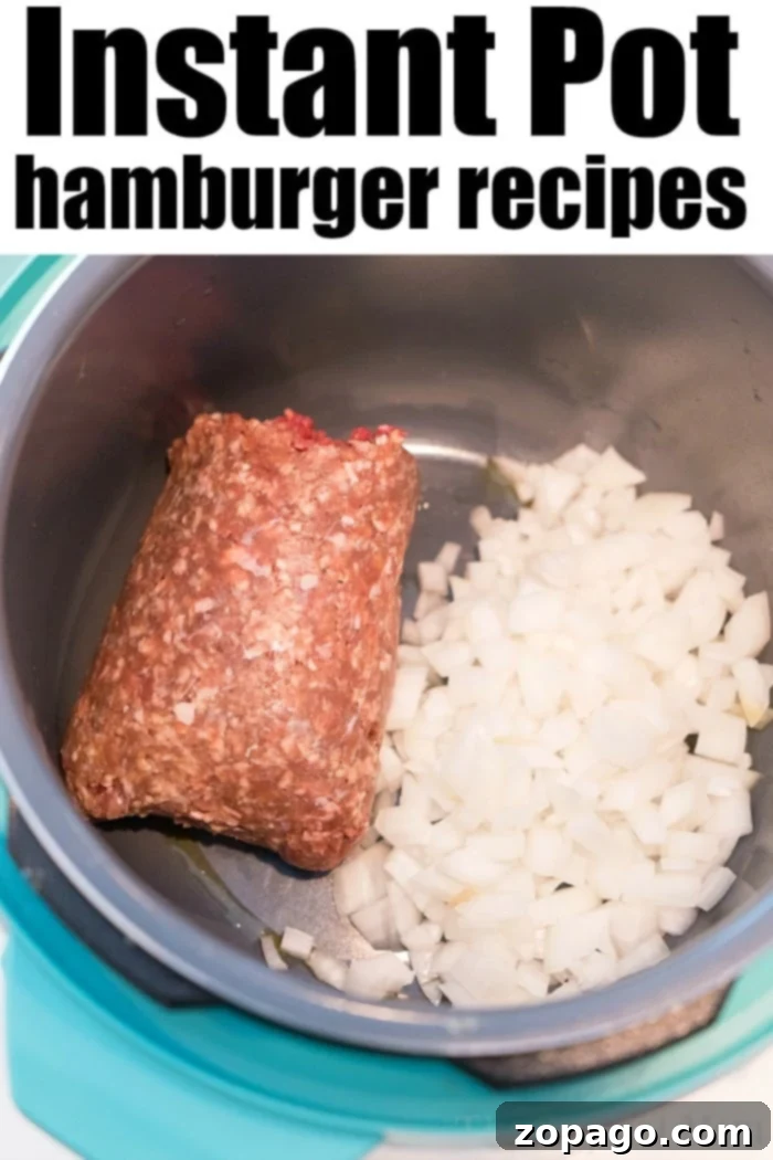 Effortless Instant Pot Ground Beef Casserole 3 Instant Pot ground beef casserole is a cheesy rice dish with ground beef that our family loves for dinner! Get our your pressure cooker and try this tonight.