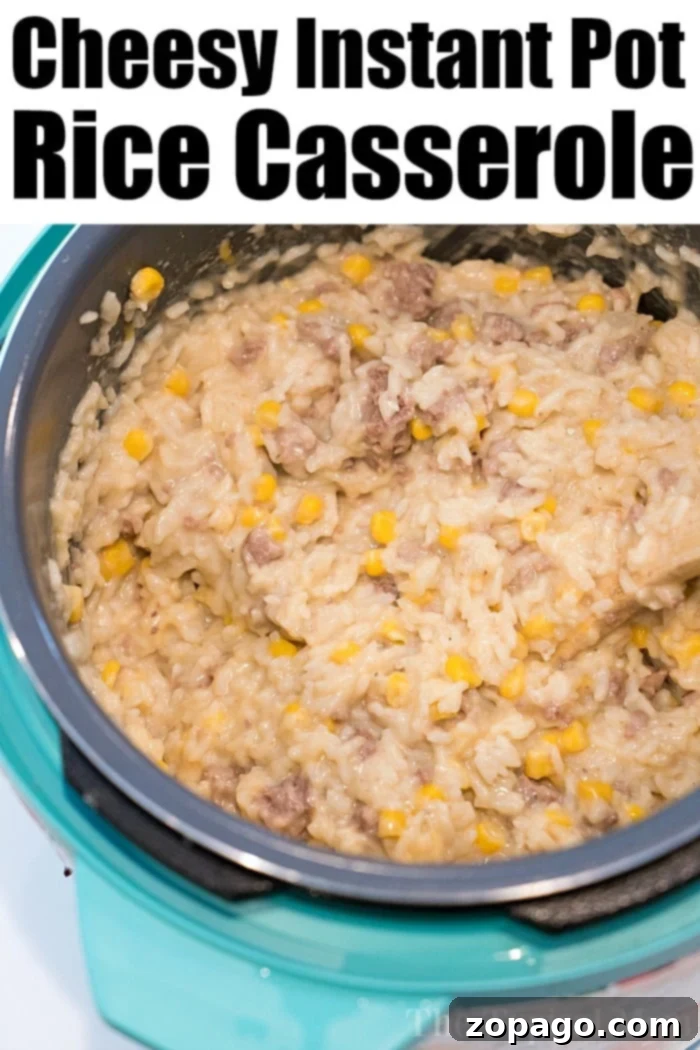 Effortless Instant Pot Ground Beef Casserole 4 Instant Pot ground beef casserole is amazing! Serve this quick and cheesy rice and meat dish for dinner tonight.