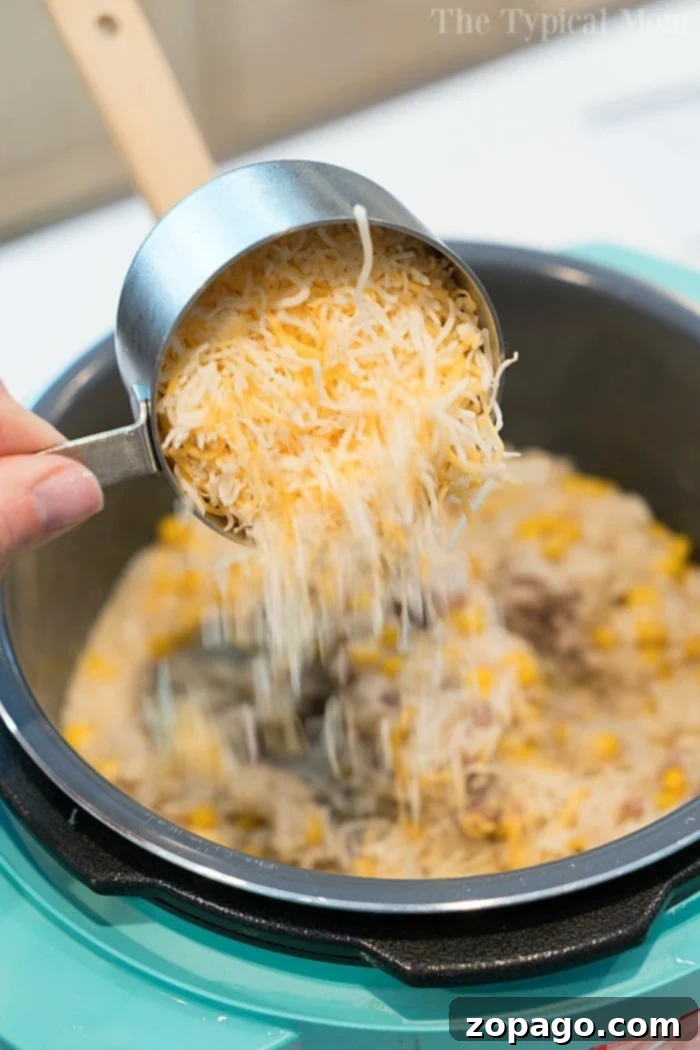 Effortless Instant Pot Ground Beef Casserole 7 Instant Pot casseroles - a selection of quick and easy one-pot meals