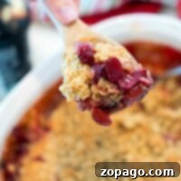 Perfect Cherry Crisp 3 A hand holding a wooden spoon with a serving of tart cherry crisp over a white baking dish.