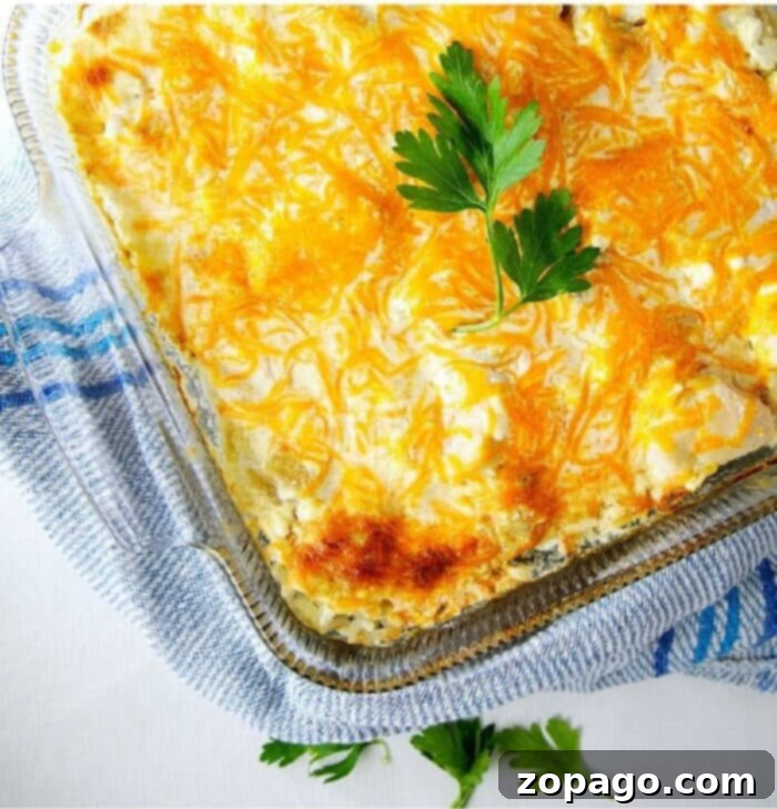 Creamy Green Chile Chicken Casserole 7 Easy chicken casserole, golden brown and bubbly