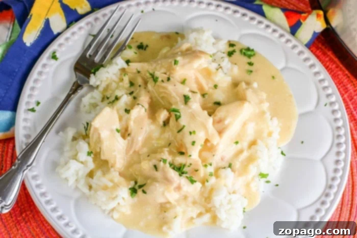 Effortless Chicken Thigh Dinners 12 crockpot chicken and rice