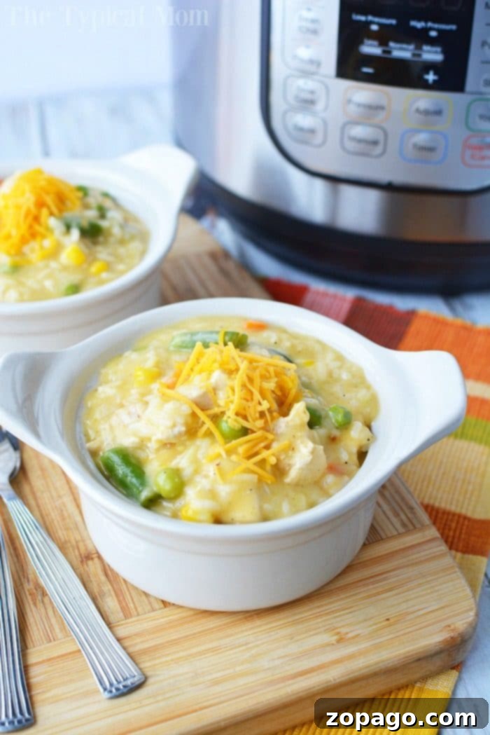 Effortless Chicken Thigh Dinners 6 Pressure Cooker Chicken and Rice