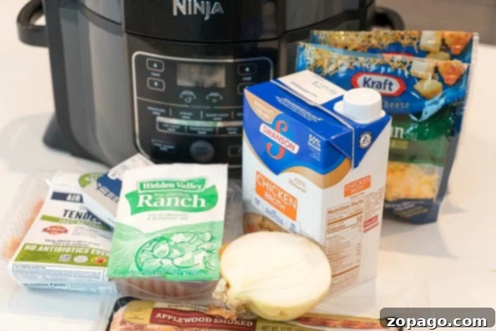 Instant Pot Crack Chicken Dip 4 ninja foodi recipes