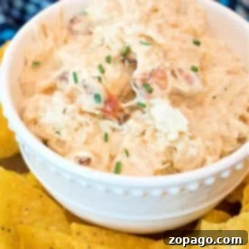 A white bowl brimming with creamy pressure cooker crack chicken dip, garnished with chopped chives. The bowl is surrounded by yellow tortilla chips on a table, inviting you to dive into this delicious creation.