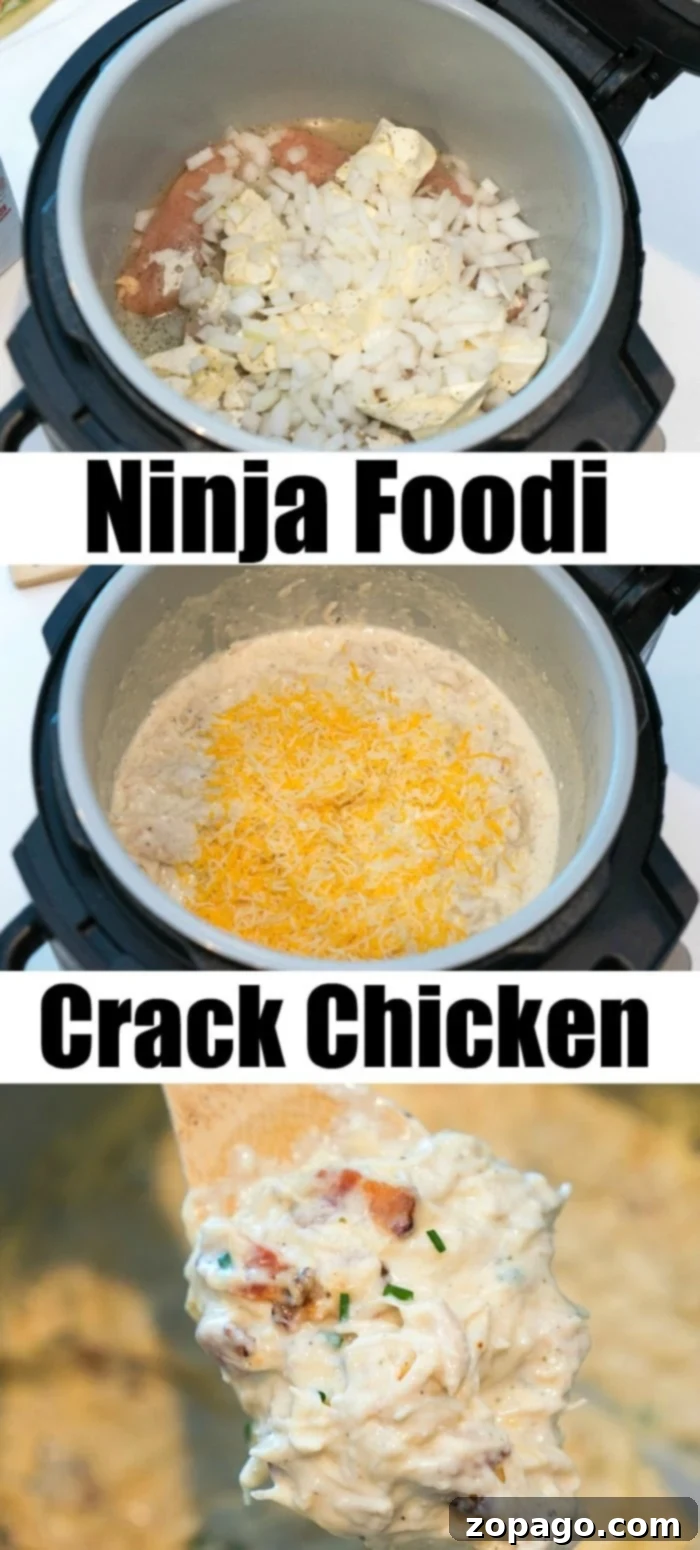 ninja foodi recipes