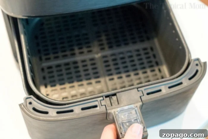 Cosori Air Fryer Everything You Need To Know 7 Delicious crispy food being removed from a Cosori air fryer