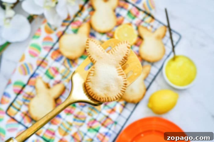 Sweet Air Fryer Treats 5 Golden-brown air fryer lemon hand pies dusted with powdered sugar, arranged neatly on a serving platter.