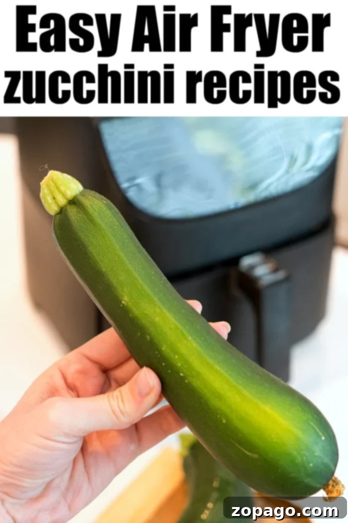 Stuffed Air-Fried Zucchini 8 A vibrant collection of various air fryer zucchini recipes, including crispy chips and savory fritters, beautifully arranged to showcase the versatility of zucchini in the air fryer.