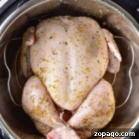 Raw seasoned whole chicken in an instant pot, poised to bring the flavors of August instant pot recipes to your table.