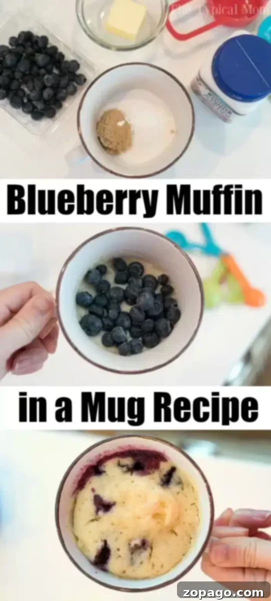 Blueberry Mug Bliss 3 Three step-by-step images showing how to make a blueberry muffin in a mug. The first shows ingredients like flour, sugars, butter, milk, and blueberries. The second shows dry ingredients being mixed with wet ingredients in a mug, then blueberries folded in. The third shows the finished, cooked muffin with juicy berries.