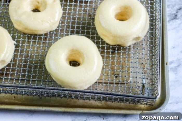 Air Fryer Donut Ball Recipes 7 doughnuts