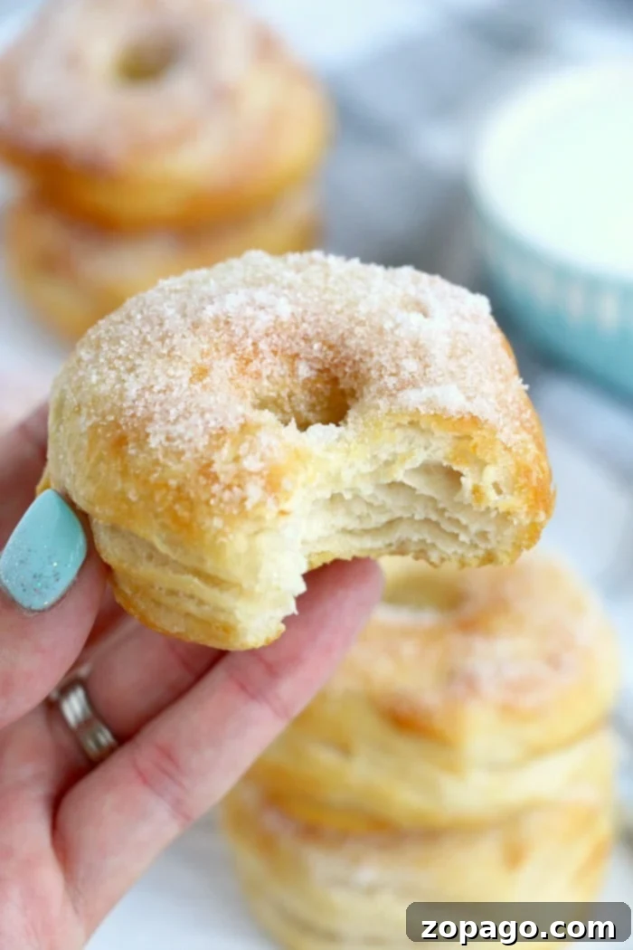 Easy Air Fryer Donut Balls 8 biscuit donuts