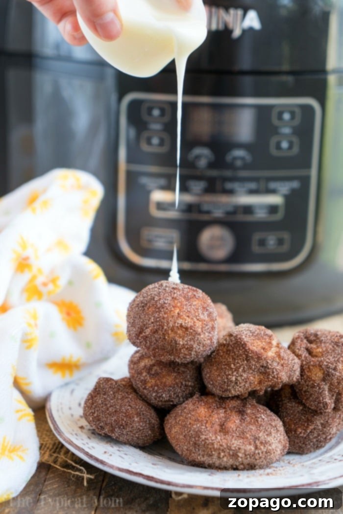 Air Fryer Donut Ball Recipes 10 donuts air fryer