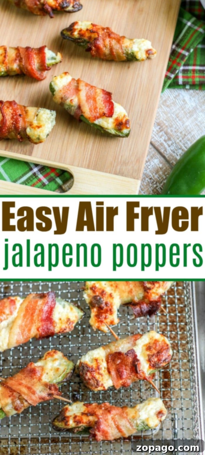 Crispy Air-Fried Bites 11 appetizers in air fryer