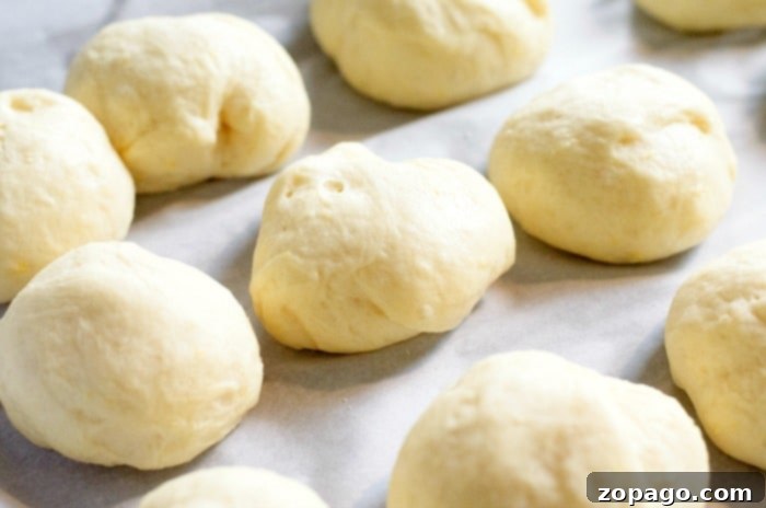 Homemade donut holes cooling. A batch of golden-brown homemade donut holes cooling on a rack