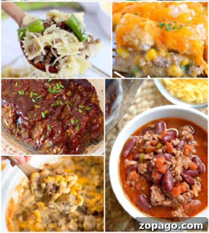 Collection of cheap slow cooker recipes for family meals