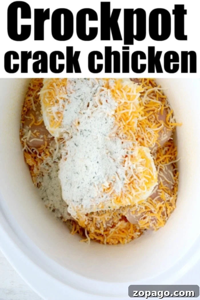 Crack Chicken Crockpot served on buns