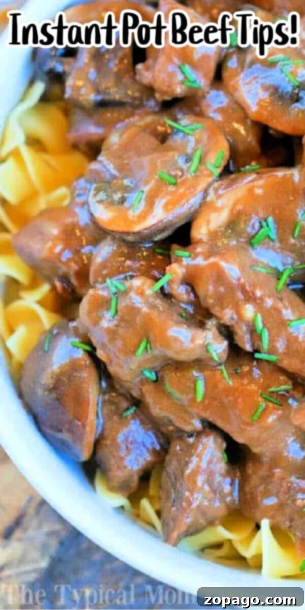 Savory Instant Pot Beef Tips 10 A bowl of pressure cooker beef tips with a rich, brown gravy, inviting you to savor this easy and delicious meal.