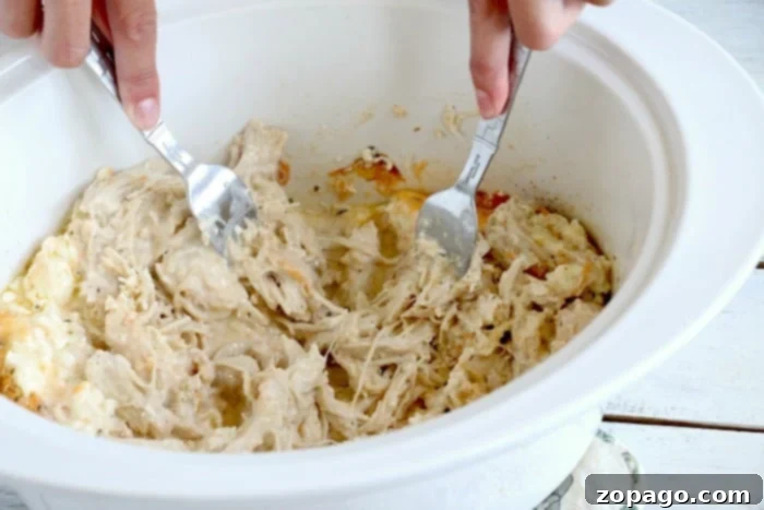 A bowl of easy, creamy crack chicken, ready to be served.