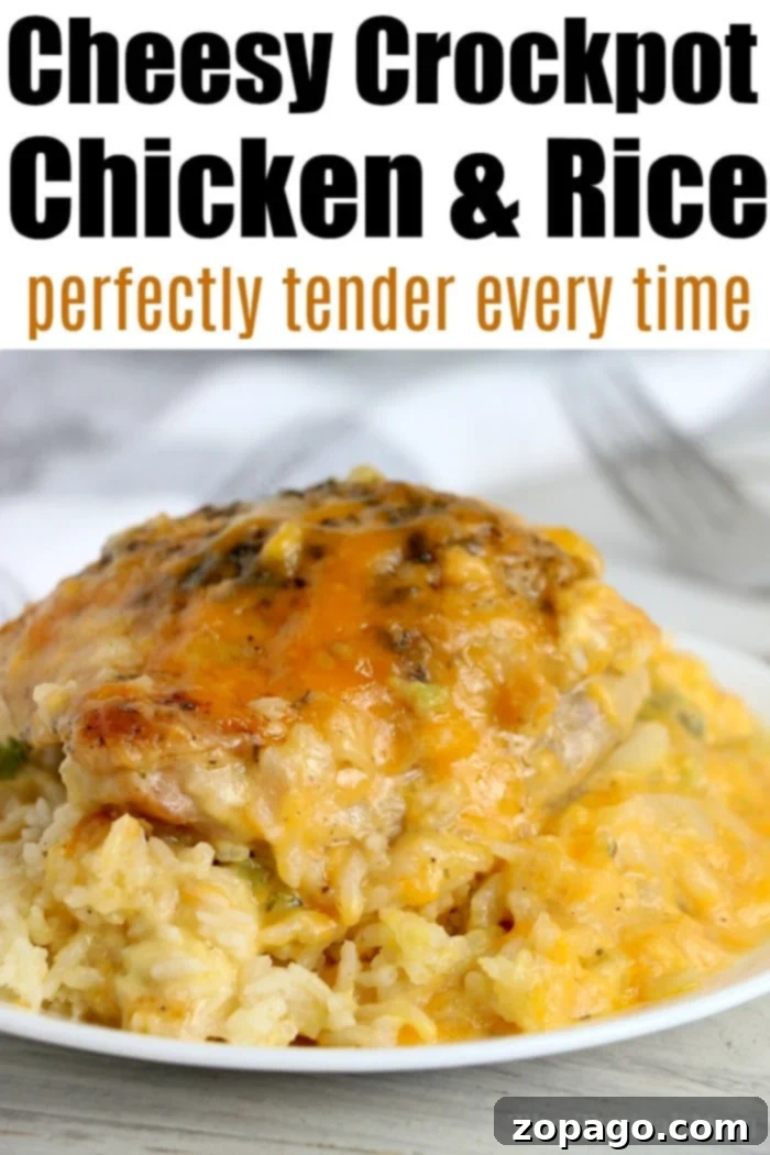 14 Best Crockpot chicken recipes for effortless family meals: easy, cheap, and complete with step-by-step instructions. #crockpotrecipes #crockpotchicken #slowcookerrecipes #cheapeats A hearty serving of crockpot cheesy chicken and rice, a popular comfort food dish perfect for family dinners.