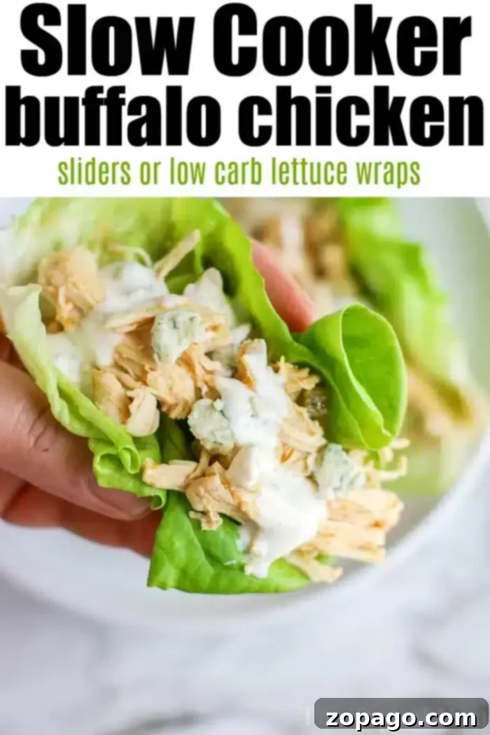 Effortless Slow Cooker Chicken Dinners 7 Recipes for Chicken in the Crockpot