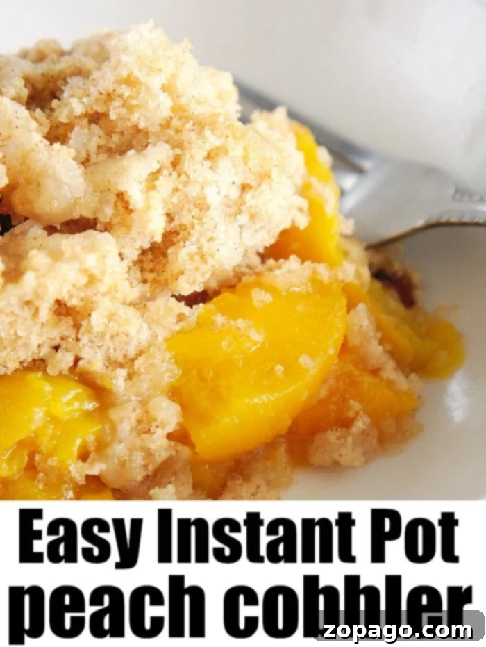 Easy Instant Pot Peach Cobbler 7 A serving of pressure cooker peach cobbler in a white bowl, garnished with fresh mint, highlighting its inviting warmth.
