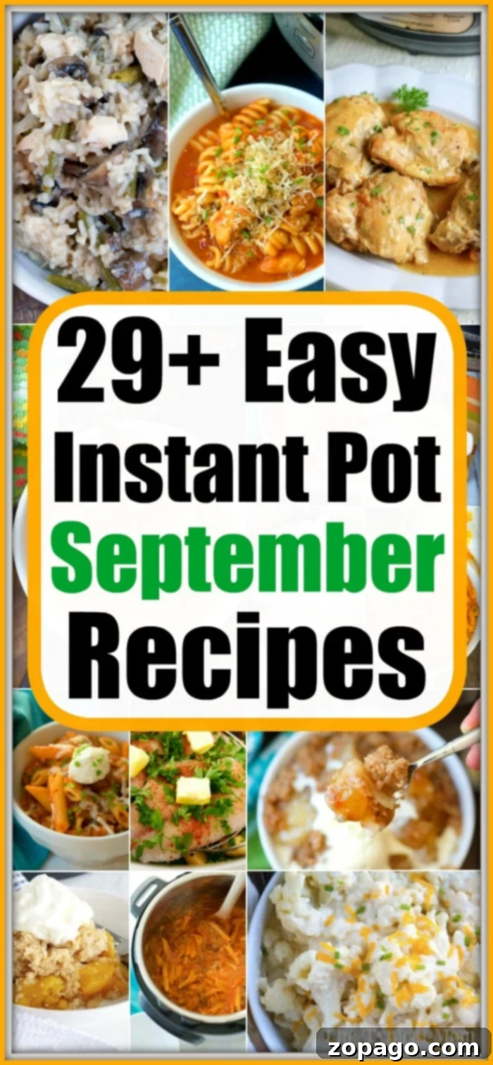Delicious September Instant Pot Recipes for Fall September Instant Pot Recipes: A variety of delicious pressure cooker dinners, side dishes, and desserts for your fall meal plan.