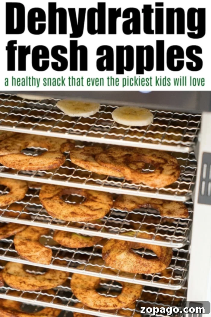 How to Dehydrate Apples with Cinnamon and Sugar