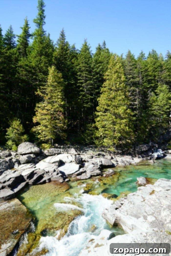 Tips for the best time to visit Glacier National Park and things you should do with kids to have the best family vacation ever. Lots of hidden gems here. Majestic Glacier National Park landscape with mountains and trees