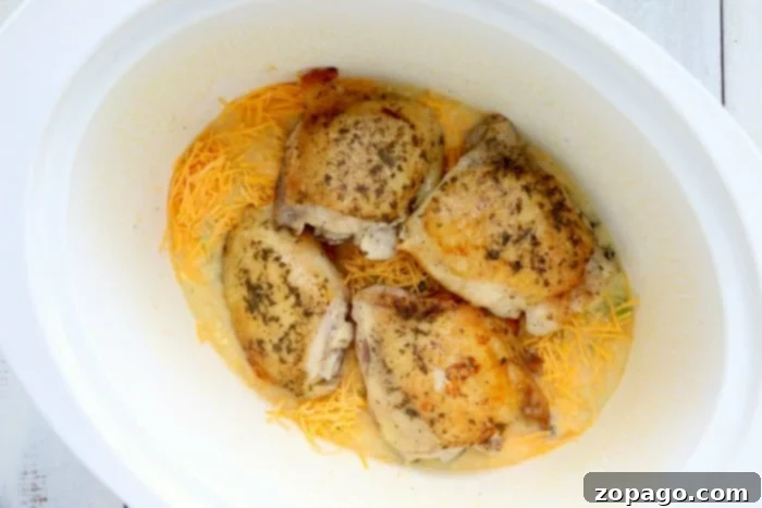 Cozy Cheesy Crockpot Chicken and Rice 6 Tender crockpot chicken thighs on a plate with creamy rice and melted cheese, ready for dinner.