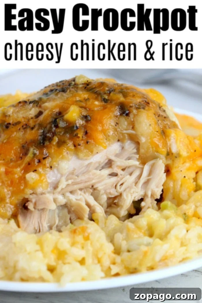 Crockpot cheesy chicken and rice casserole is a family favorite! Tender chicken thighs, broccoli and perfectly cooked rice smothered with cheese of course. #crockpot #slowcooker #chickenandrice #chickenthighs #chicken #rice A generous serving of Crockpot cheesy chicken and rice casserole in a bowl, showing the creamy texture and inviting appeal.