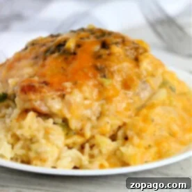 Cozy Cheesy Crockpot Chicken and Rice 7 Crockpot cheesy chicken and rice on a white plate, topped with melted cheese and herbs.