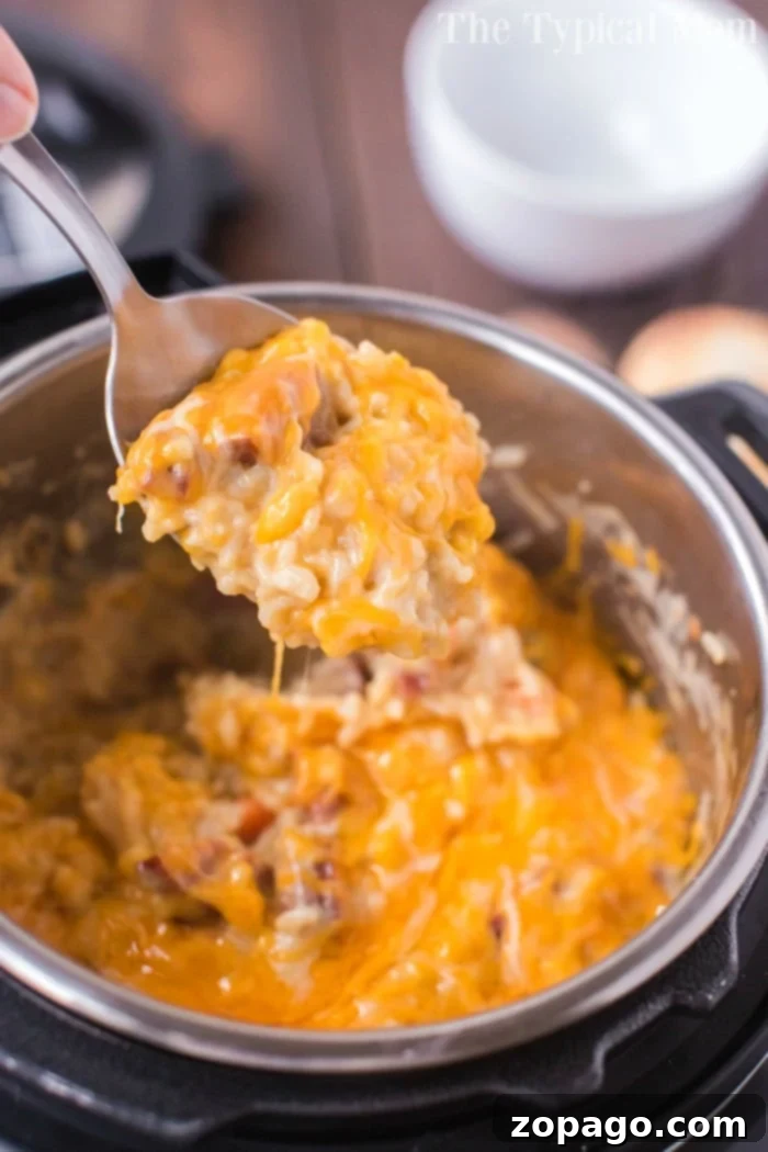 Sausage and rice cheesy casserole packed with smoked sausage, tender rice and vegetables cooked all in one pot in no time at all. #instantpot #instantpotrecipes #sausage #rice #casserole #cheesy #pressurecooker #ninjafoodi A serving of Instant Pot sausage and rice casserole, topped with melted cheese, demonstrating its delicious texture.