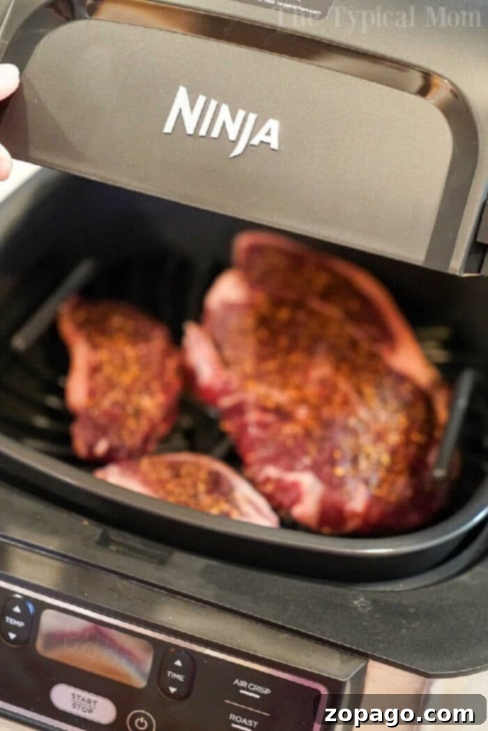 Ninja Foodi Grill Review: Preparing Steak and Potatoes Ninja Foodi Grill setup with a raw steak and potatoes, ready for cooking.
