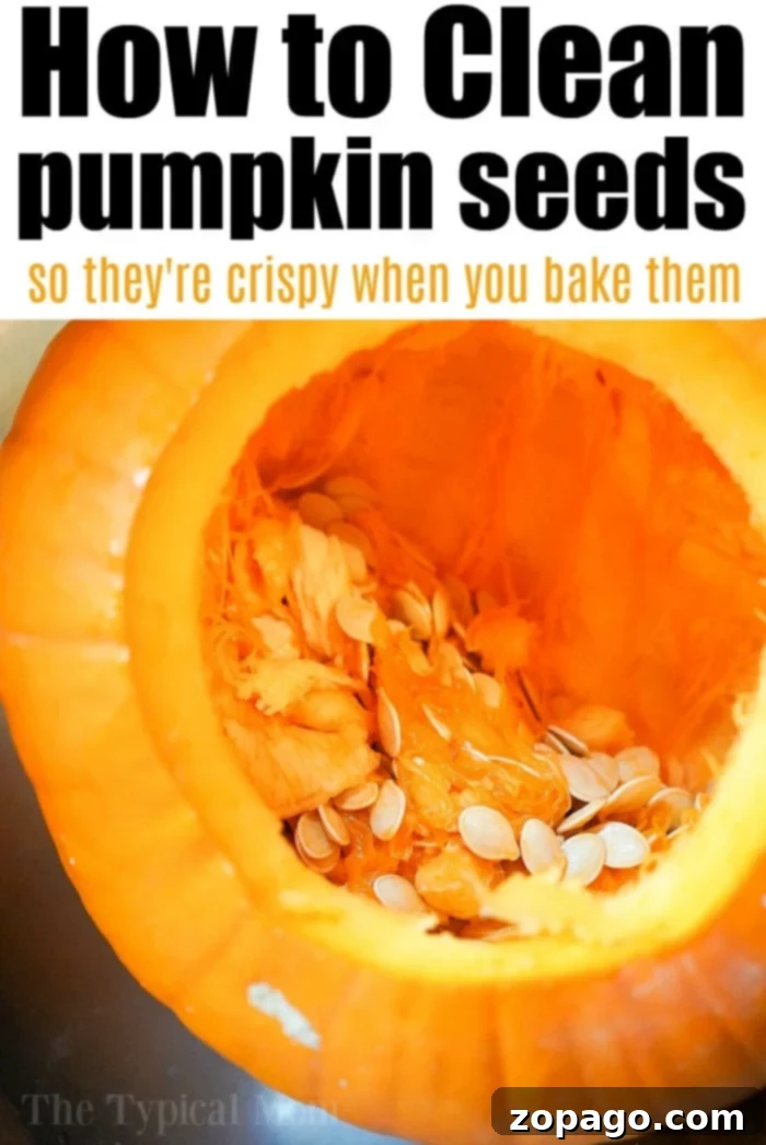 Cleaning pumpkin seeds so they're crispy when you bake or air fry them to perfection! Homemade toasted pumpkin seeds are the best during the Fall. #pumpkinseeds #cleaning #clean #baked A bowl of delicious, golden-brown toasted pumpkin seeds, perfect for a fall snack.
