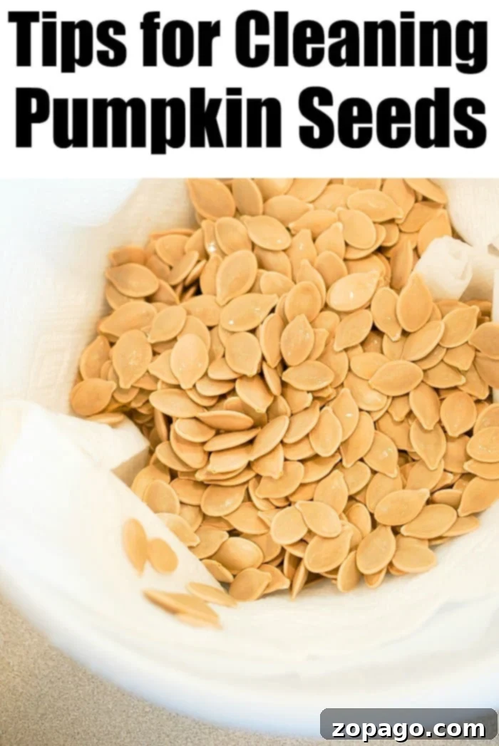 How to clean pumpkin seeds so they are crispy when you bake or air fry them to perfection! Homemade toasted pumpkin seeds are the best during the Fall. #pumpkinseeds #cleaning #clean #baked Pumpkin seeds tossed with olive oil and seasoning on a baking sheet, ready for the oven.