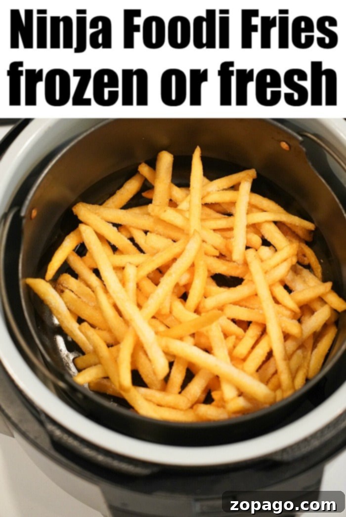 Frozen french fries air fryer style are the best!! Crispy just like at a restaurant but healthier since you do NOT have to fry them in oil. Game Changer! #airfryer #airfryerfrenchfries #frenchfries #ninjafoodi #foodi A selection of delicious air fryer recipes, showcasing the versatility of the appliance.
