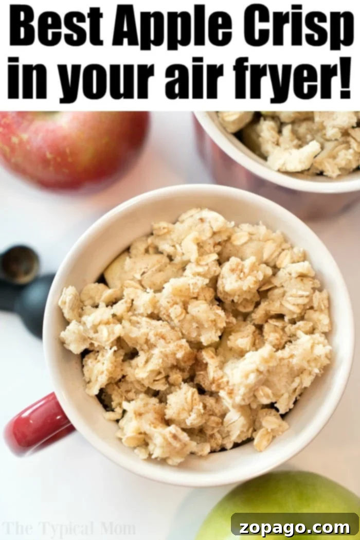Air fryer apple crisp!! Most amazing fruit dessert in individual mugs tonight. Fall comfort food at it's finest right here. #applecrisp #airfryer #airfryerrecipes #airfryerdessert #applerecipe #airfryerapplecrisp #ninjafoodi #thetypicalmom Close-up of a mug filled with air fryer apple crisp, topped with ice cream and caramel sauce.