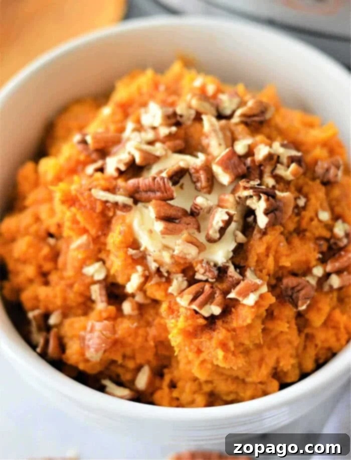 Air fryer sweet potato mash is easy to do! Want both baked potatoes and sweet potato mash as a side dish, you can make both at the same time. Here's how. #airfryerrecipes #ninjafoodirecipes #sweetpotatoes #sweetpotatomash #mashedpotatoes Creamy mashed sweet potatoes, topped with chopped pecans and a pat of melting butter, served in a pristine white bowl. A delectable twist on traditional air fryer mashed potatoes.