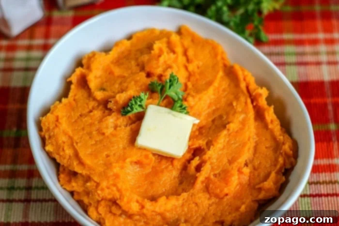Crispy Air-Fried Mashed Potatoes 4 A close-up of beautifully mashed sweet potatoes, perfectly smooth and ready to serve, in a white bowl.