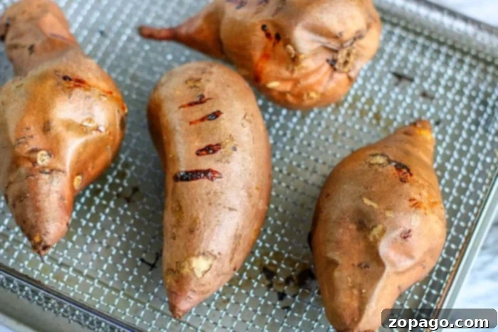 Crispy Air Fryer Mashed Potatoes 7 how to cook sweet potatoes