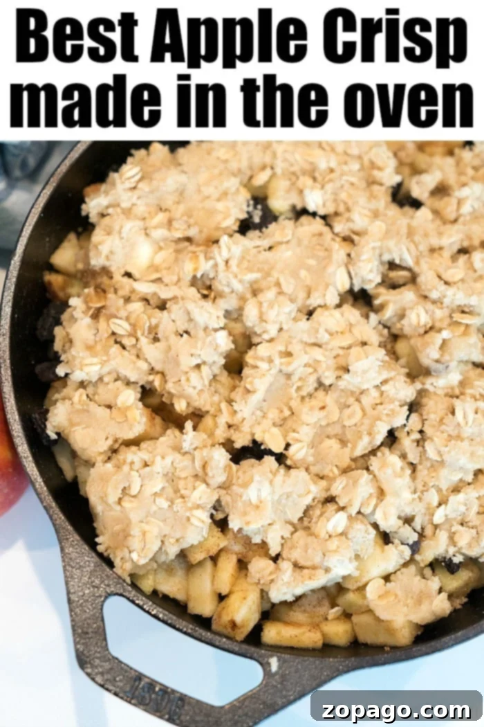 Experience the ultimate comfort with this apple crisp baked in cast iron! Tender cinnamon apples and a golden oat crumble make it perfect for any meal. #castironrecipes #castiron #castironapples #bakedapples #applecrisp #appledessert A beautifully baked cast iron apple crisp, ready to be served, showcasing the golden topping and tender apples.