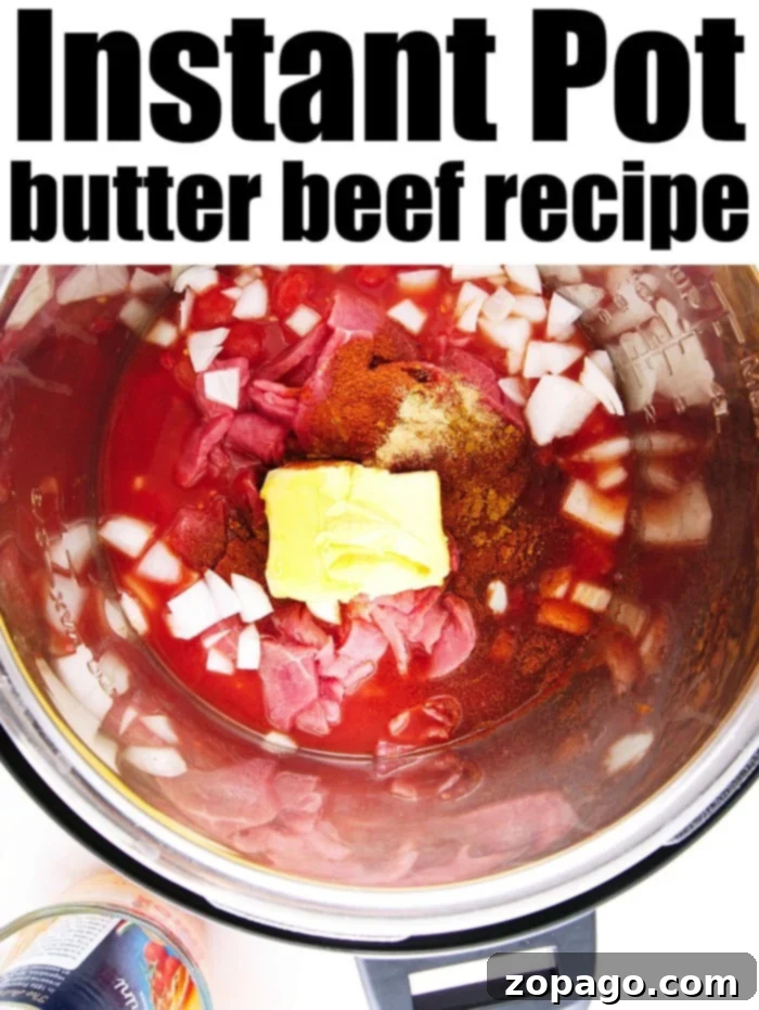 Brown Butter Steak 4 butter beef curry served in a bowl