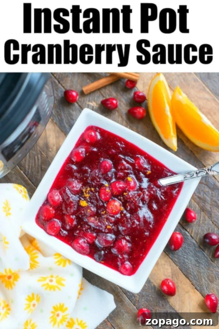 Festive December Flavors 7 Easy Instant Pot cranberry sauce, a vibrant and quick addition to your holiday menu.