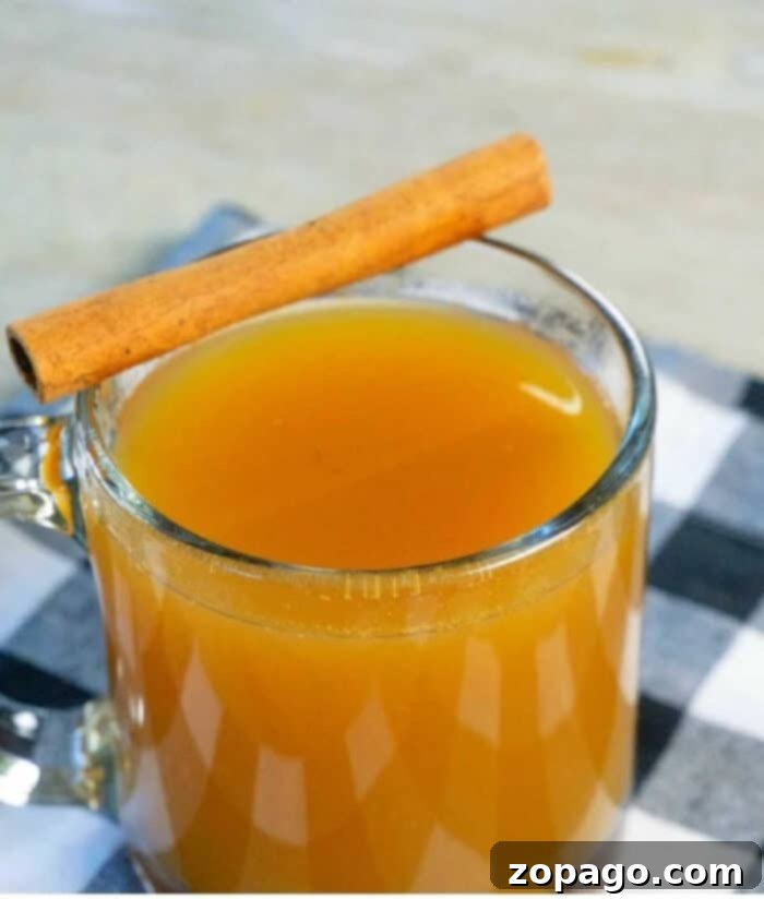 Instant Pot Spiced Apple Cider 2 A vibrant, steamy mug of Instant Pot apple cider garnished with cinnamon sticks and orange slices, perfect for holiday gatherings.