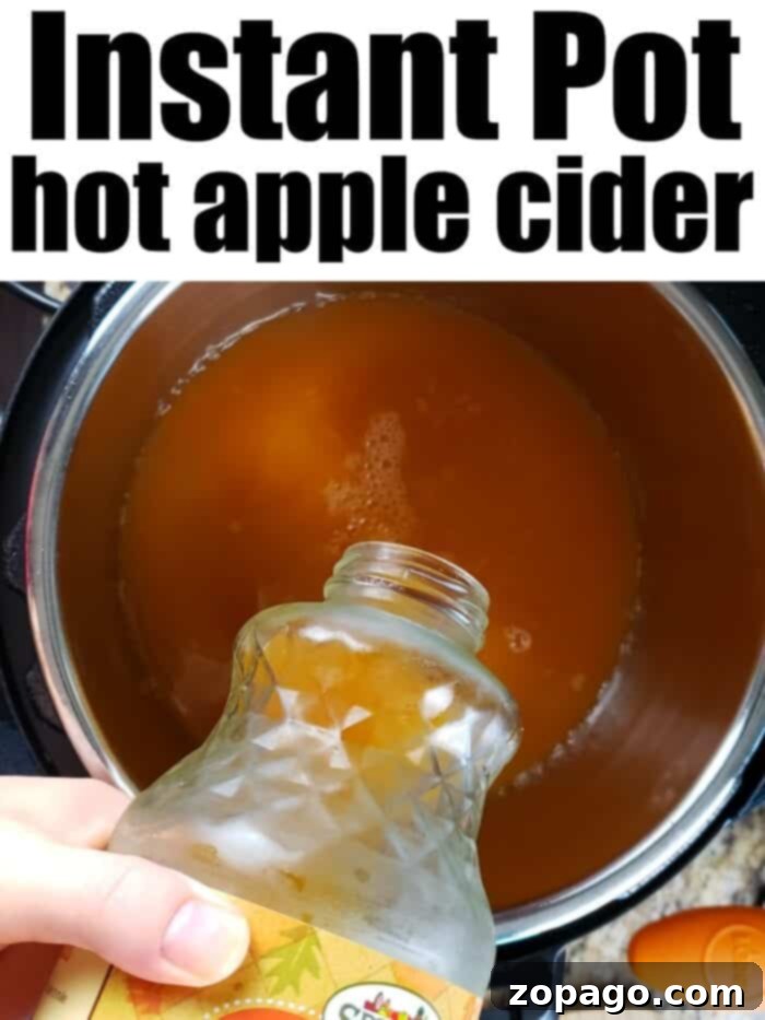 Instant Pot Spiced Apple Cider 4 A beautifully composed shot of hot apple cider in a festive mug, garnished with a cinnamon stick and orange slice, with a pressure cooker blurred in the background, signifying its effortless creation.